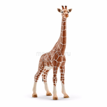 Изображение SCHLEICH Жираф самка