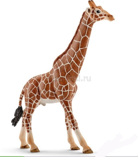 Изображение SCHLEICH Жираф самец