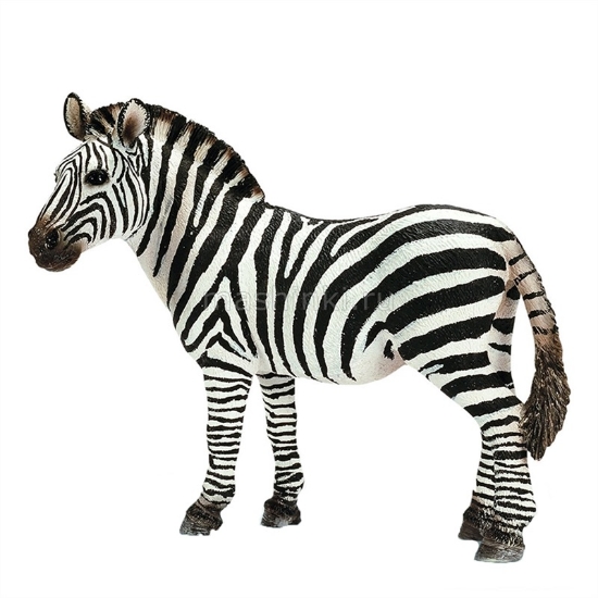 Изображение SCHLEICH Зебра самка