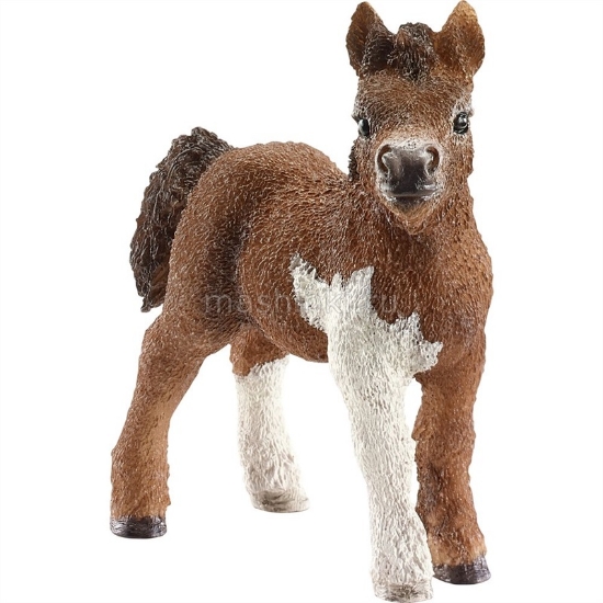 Изображение SCHLEICH Шотландский пони жеребенок