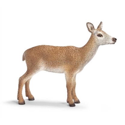 Изображение SCHLEICH Олень благородный самка