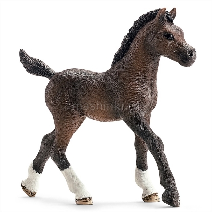 Изображение SCHLEICH Арабский жеребенок