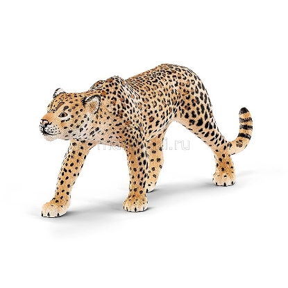 Изображение SCHLEICH Леопард