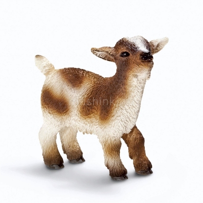 Изображение SCHLEICH Карликовый козленок