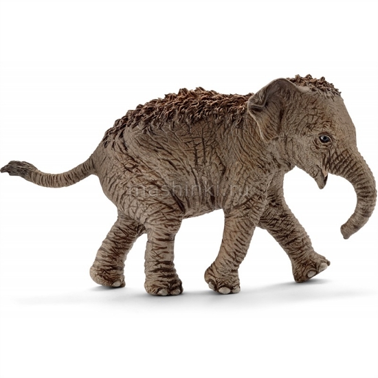 Изображение SCHLEICH Азиатский слоненок