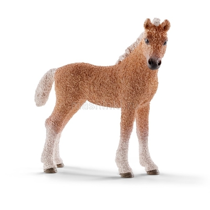 Изображение SCHLEICH Башкирский кудрявый жеребенок