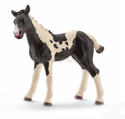 Изображение SCHLEICH Жеребенок Пинто