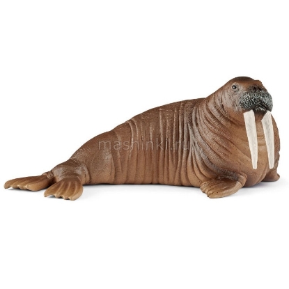 Изображение SCHLEICH Морской морж