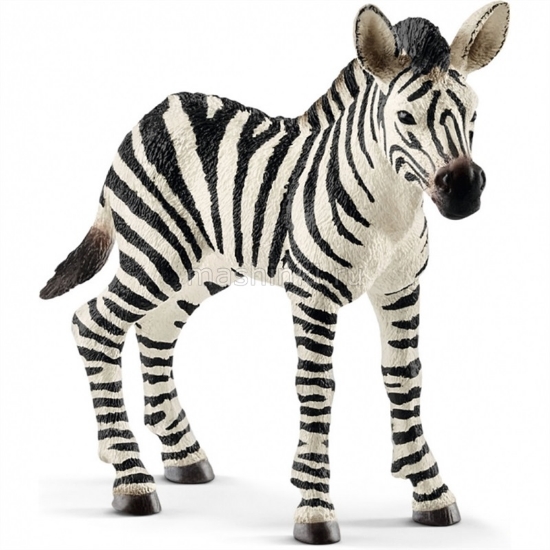 Изображение SCHLEICH Жеребенок зебры