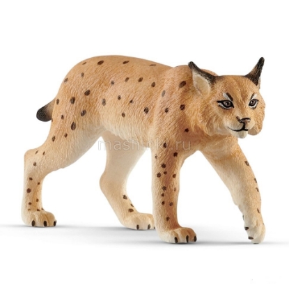 Изображение SCHLEICH Рысь