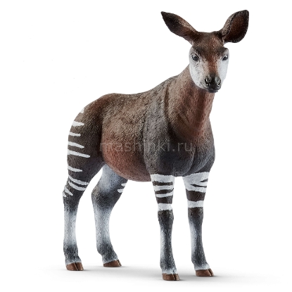 Изображение SCHLEICH Окапи