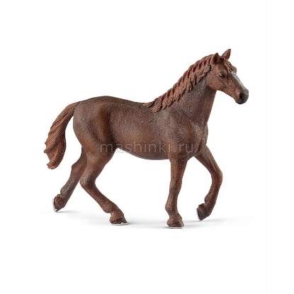 Изображение SCHLEICH Английская скаковая