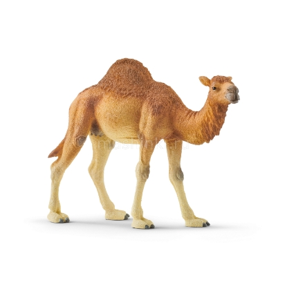 Изображение SCHLEICH Верблюд одногорбый