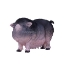 Изображение MOJO Свинья вислоухая